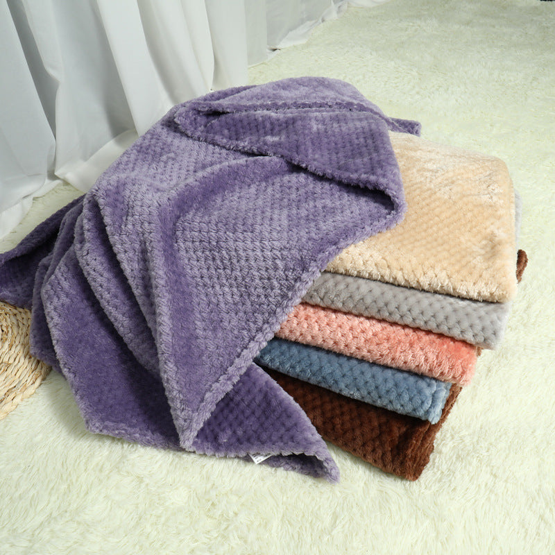 Pet Blanket Sleeping Pad
