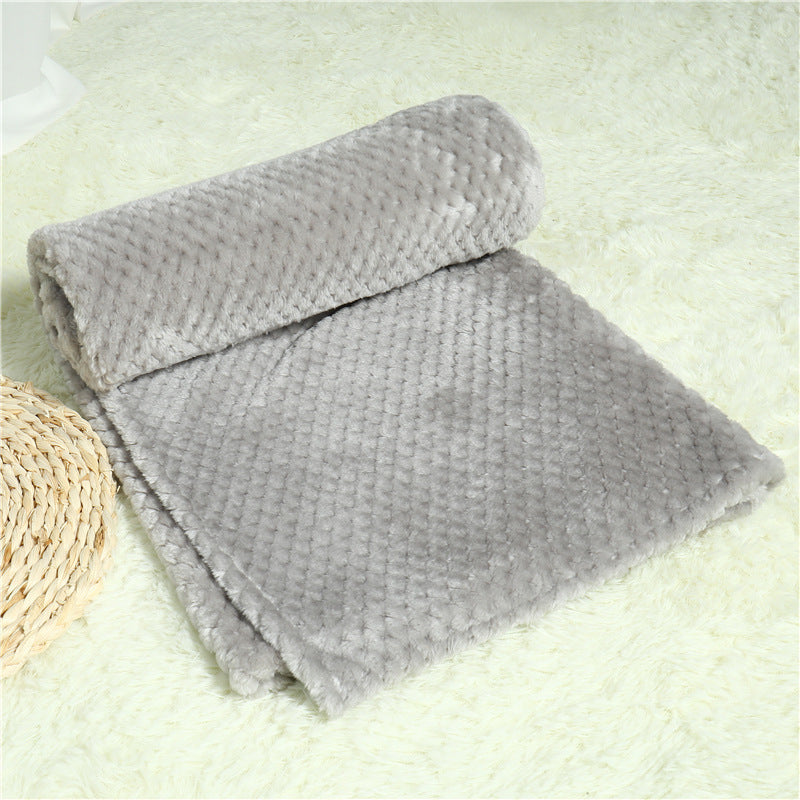 Pet Blanket Sleeping Pad