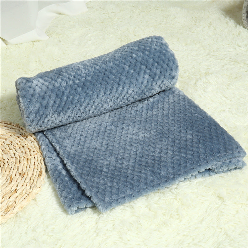 Pet Blanket Sleeping Pad