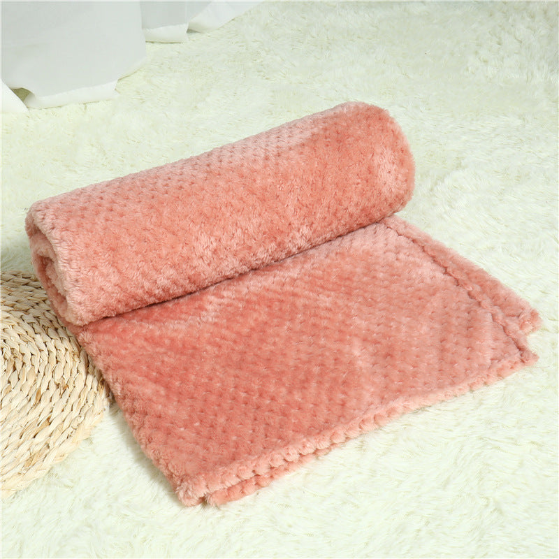 Pet Blanket Sleeping Pad