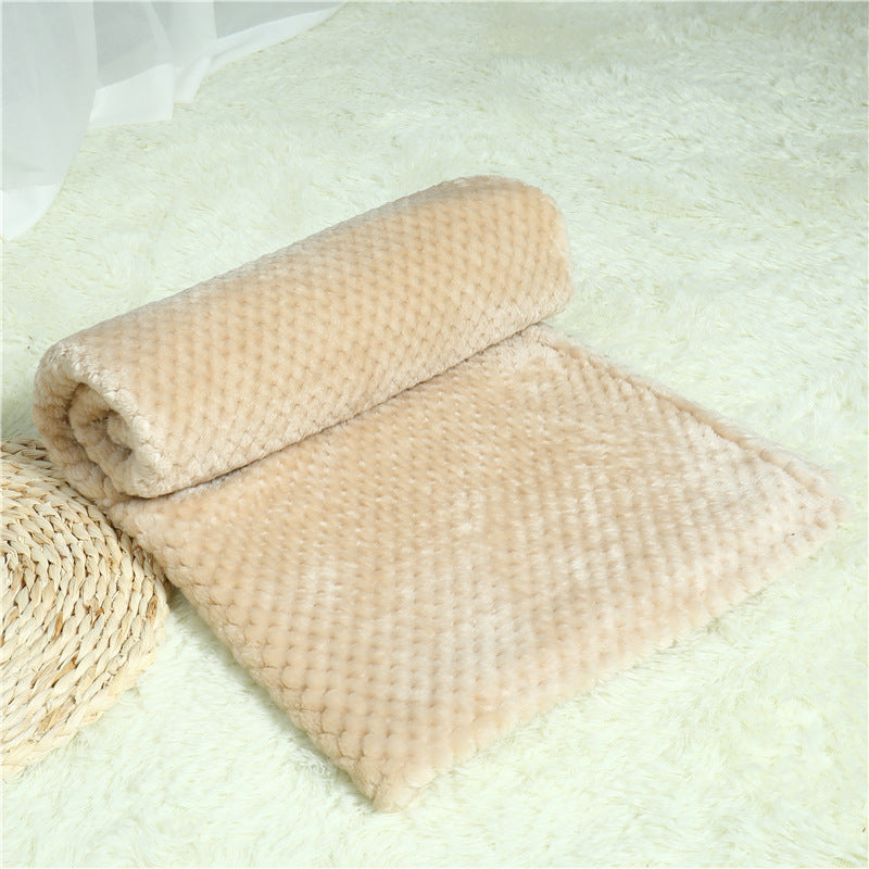 Pet Blanket Sleeping Pad