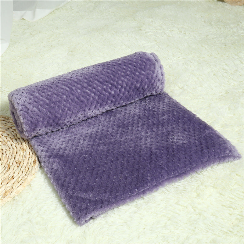 Pet Blanket Sleeping Pad