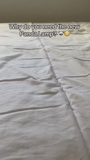 1.mp4