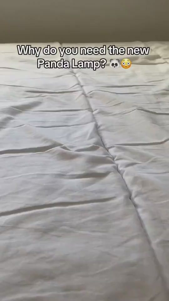 1.mp4